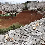 住宿加早餐酒店 Mamapulia