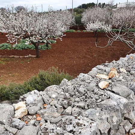 Bed and Breakfast Mamapulia