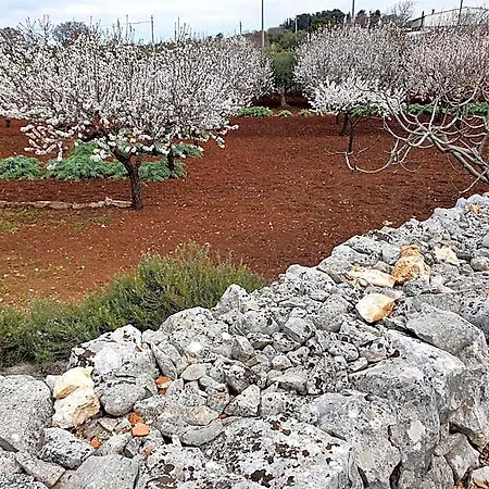 Mamapulia Bed & Breakfast Alberobello